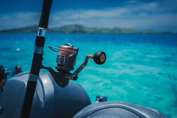 斐济海钓之旅Big Game Fishing - 图片 3