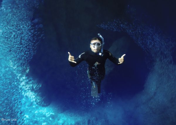 斐济中文Padi自由潜水员课程Freediver - 图片 6