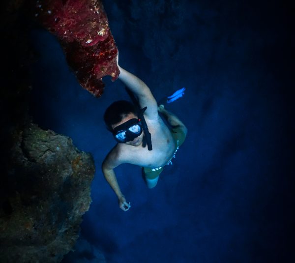 斐济中文Padi自由潜水员课程Freediver - 图片 5