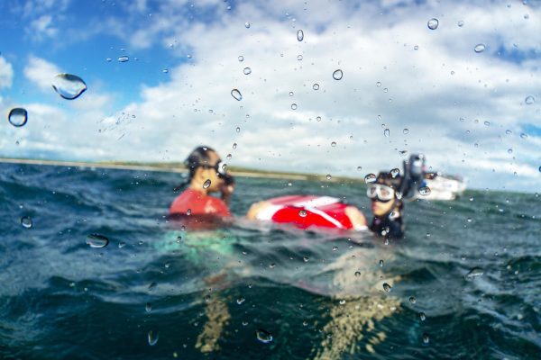斐济中文Padi自由潜水员课程Freediver - 图片 4