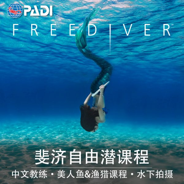 斐济中文Padi自由潜水员课程Freediver